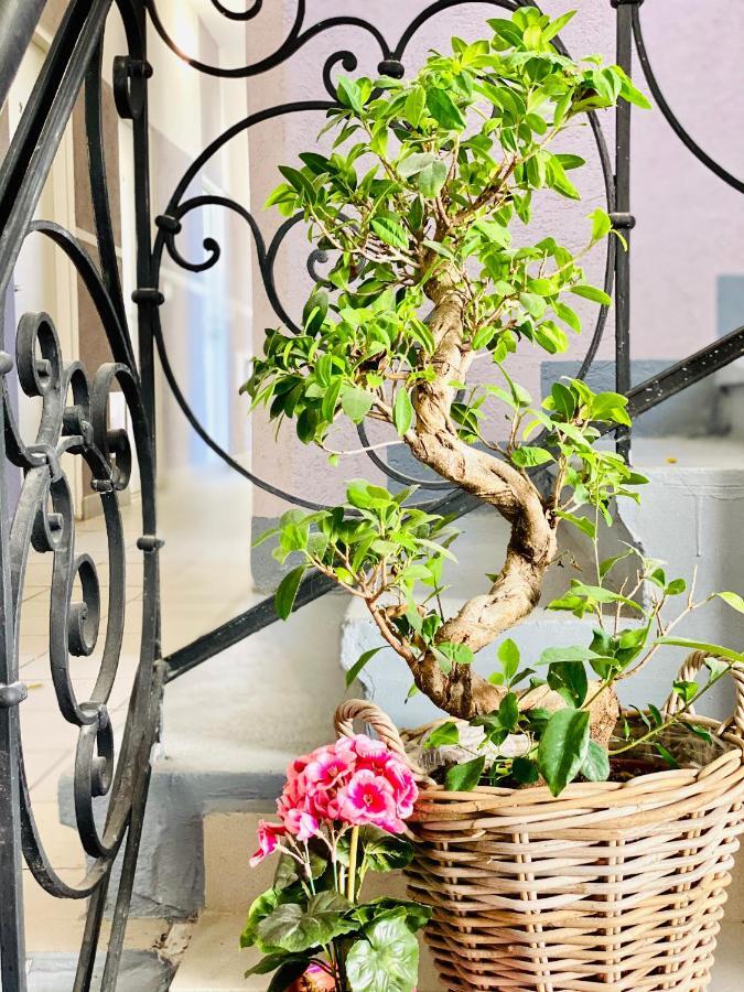 City Residence Rooms & Apartments Wien Ngoại thất bức ảnh